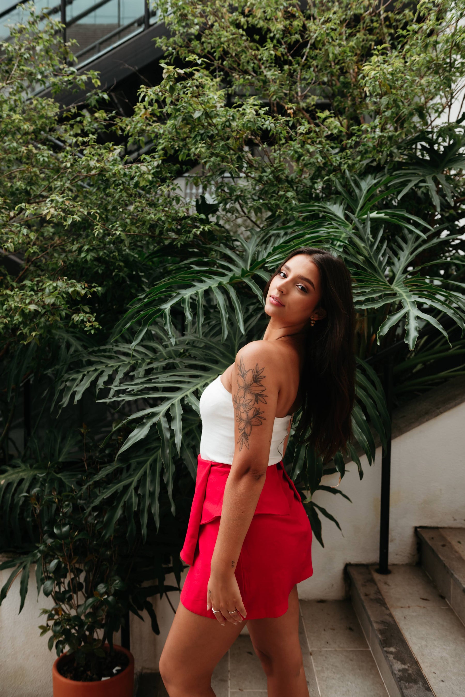 Saia Roses